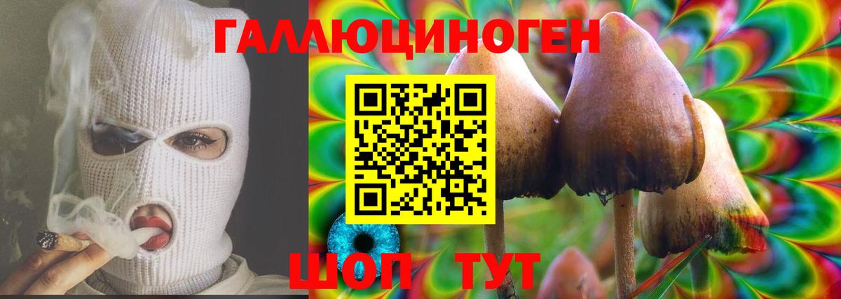 как найти закладки  Псилоцибиновые грибы ЛСД  Вход с VPN  Ленинск-Кузнецкий 