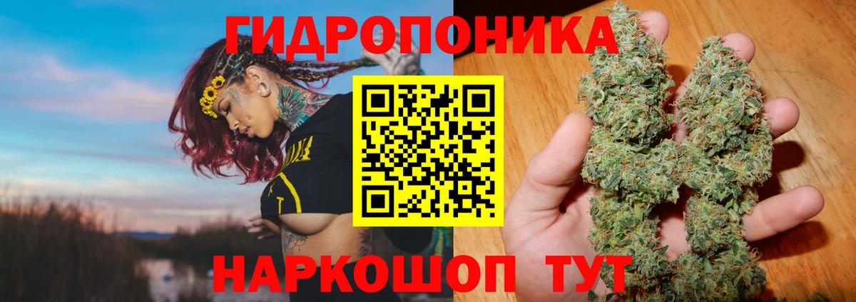 Шишки марихуана конопля Ленинск-Кузнецкий